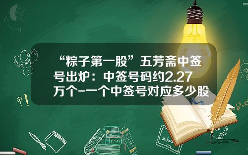 “粽子第一股”五芳斋中签号出炉：中签号码约2.27万个-一个中签号对应多少股