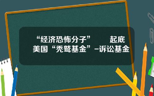 “经济恐怖分子”――起底美国“秃鹫基金”-诉讼基金