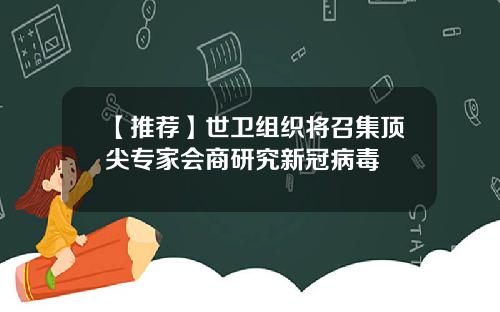 【推荐】世卫组织将召集顶尖专家会商研究新冠病毒