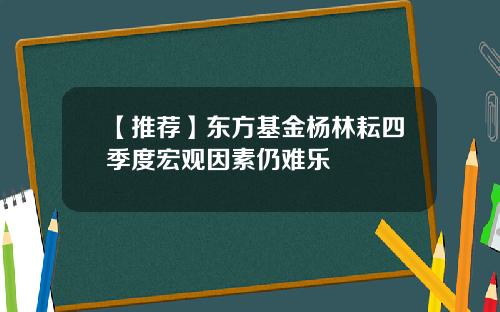 【推荐】东方基金杨林耘四季度宏观因素仍难乐