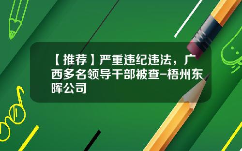 【推荐】严重违纪违法，广西多名领导干部被查-梧州东晖公司