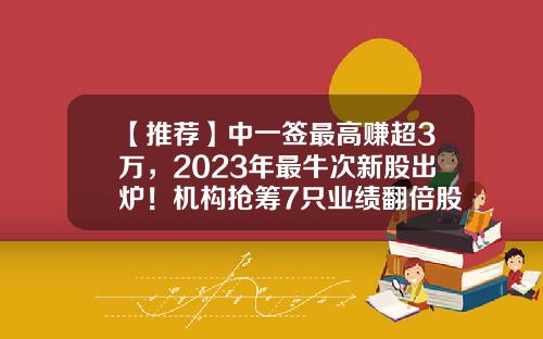 【推荐】中一签最高赚超3万，2023年最牛次新股出炉！机构抢筹7只业绩翻倍股-新股中的好公司