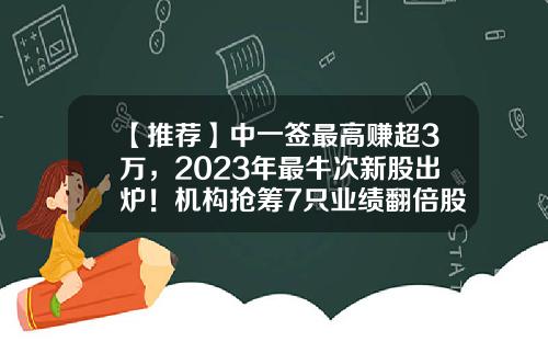 【推荐】中一签最高赚超3万，2023年最牛次新股出炉！机构抢筹7只业绩翻倍股-新股多少钱能中