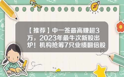 【推荐】中一签最高赚超3万，2023年最牛次新股出炉！机构抢筹7只业绩翻倍股-股票中签一般赚多少