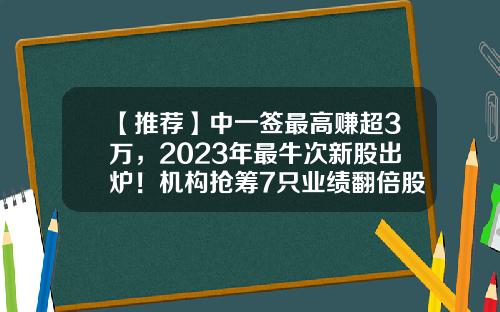 【推荐】中一签最高赚超3万，2023年最牛次新股出炉！机构抢筹7只业绩翻倍股-股票资讯最快