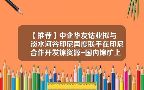 【推荐】中企华友钴业拟与淡水河谷印尼再度联手在印尼合作开发镍资源-国内镍矿上市公司