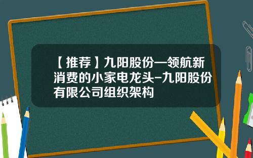 【推荐】九阳股份—领航新消费的小家电龙头-九阳股份有限公司组织架构