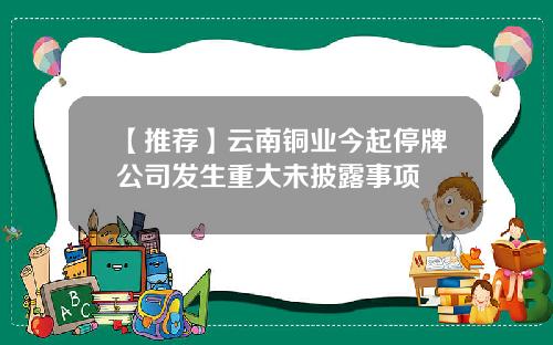 【推荐】云南铜业今起停牌公司发生重大未披露事项