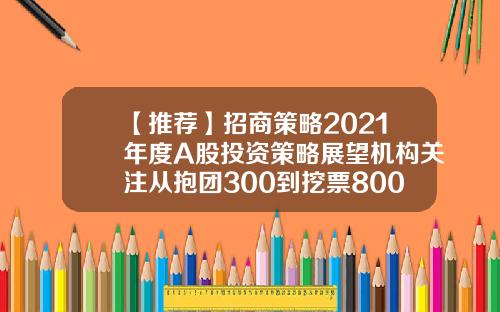 【推荐】招商策略2021年度A股投资策略展望机构关注从抱团300到挖票800