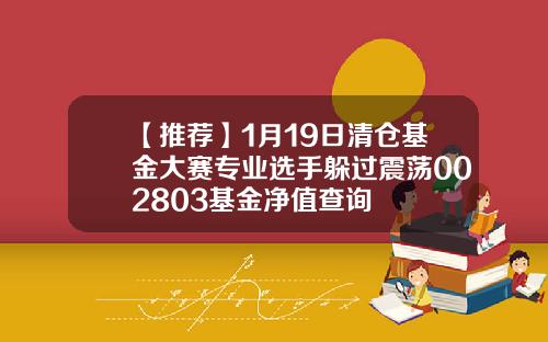 【推荐】1月19日清仓基金大赛专业选手躲过震荡002803基金净值查询