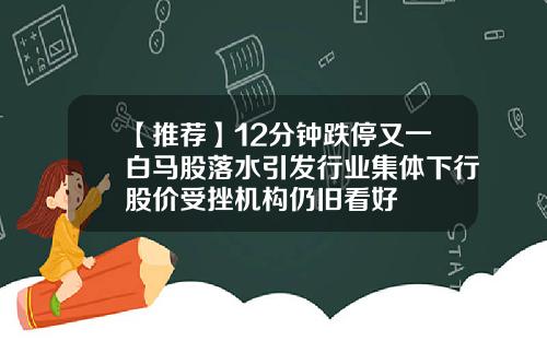 【推荐】12分钟跌停又一白马股落水引发行业集体下行股价受挫机构仍旧看好