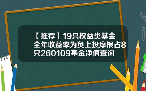 【推荐】19只权益类基金全年收益率为负上投摩根占8只260109基金净值查询