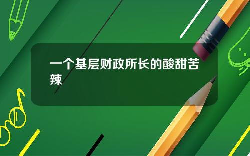 一个基层财政所长的酸甜苦辣