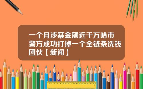 一个月涉案金额近千万哈市警方成功打掉一个全链条洗钱团伙【新闻】