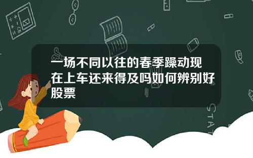 一场不同以往的春季躁动现在上车还来得及吗如何辨别好股票