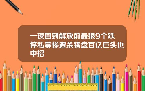 一夜回到解放前最狠9个跌停私募惨遭杀猪盘百亿巨头也中招