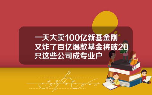 一天大卖100亿新基金刚又炸了百亿爆款基金将破20只这些公司成专业户