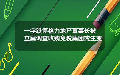 一字跌停格力地产董事长被立案调查收购免税集团或生变