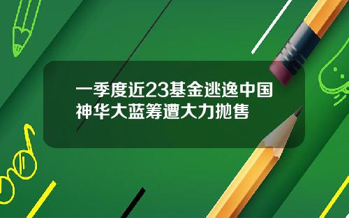 一季度近23基金逃逸中国神华大蓝筹遭大力抛售