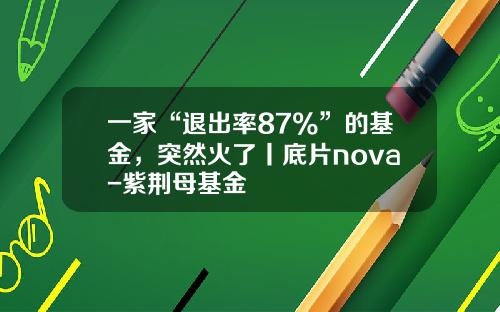 一家“退出率87%”的基金，突然火了丨底片nova-紫荆母基金