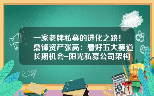 一家老牌私募的进化之路！鼎锋资产张高：看好五大赛道长期机会-阳光私募公司架构