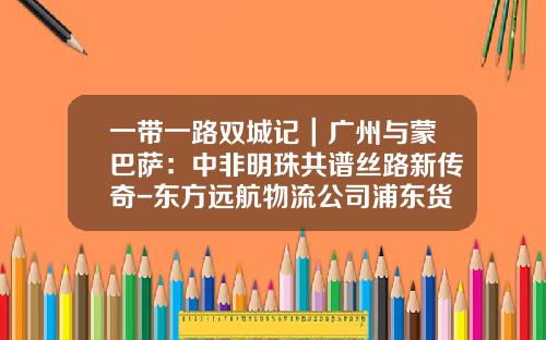一带一路双城记｜广州与蒙巴萨：中非明珠共谱丝路新传奇-东方远航物流公司浦东货站
