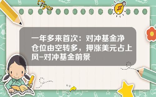 一年多来首次：对冲基金净仓位由空转多，押涨美元占上风-对冲基金前景