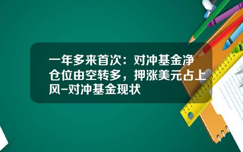 一年多来首次：对冲基金净仓位由空转多，押涨美元占上风-对冲基金现状