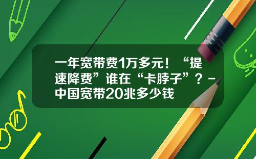 一年宽带费1万多元!“提速降费”谁在“卡脖子”?-中国宽带20兆多少钱