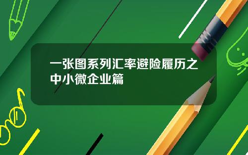 一张图系列汇率避险履历之中小微企业篇