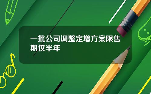 一批公司调整定增方案限售期仅半年