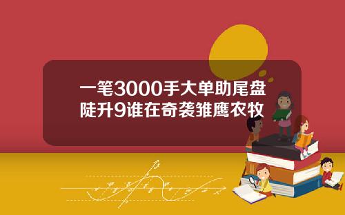 一笔3000手大单助尾盘陡升9谁在奇袭雏鹰农牧