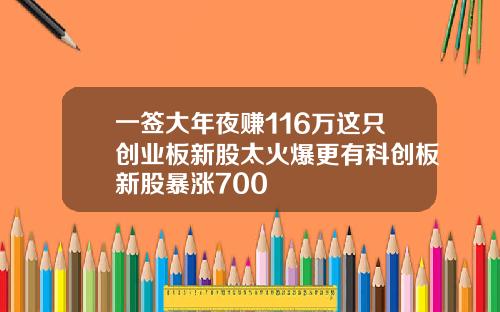 一签大年夜赚116万这只创业板新股太火爆更有科创板新股暴涨700