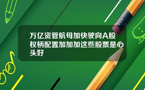 万亿资管航母加快驶向A股权柄配置加加加这些股票是心头好
