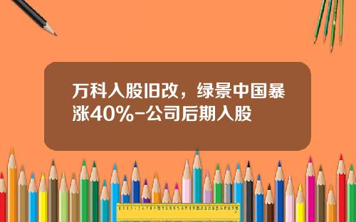 万科入股旧改，绿景中国暴涨40%-公司后期入股