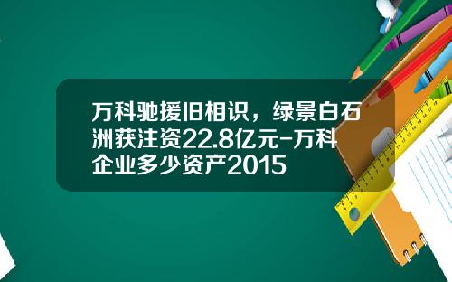 万科驰援旧相识，绿景白石洲获注资22.8亿元-万科企业多少资产2015