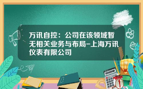 万讯自控：公司在该领域暂无相关业务与布局-上海万讯仪表有限公司
