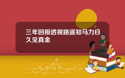 三年回报透视路遥知马力日久见真金