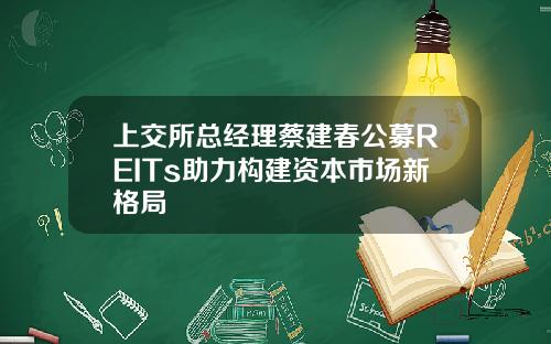 上交所总经理蔡建春公募REITs助力构建资本市场新格局