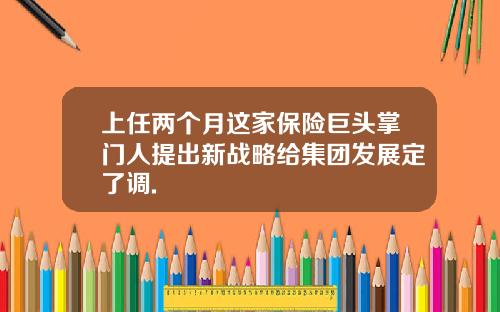 上任两个月这家保险巨头掌门人提出新战略给集团发展定了调.