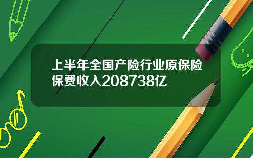 上半年全国产险行业原保险保费收入208738亿
