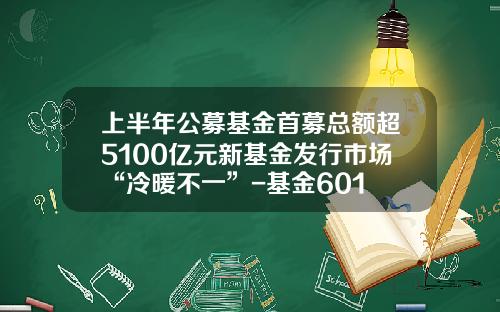 上半年公募基金首募总额超5100亿元新基金发行市场“冷暖不一”-基金601
