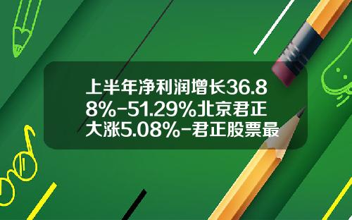 上半年净利润增长36.88%-51.29%北京君正大涨5.08%-君正股票最新资讯