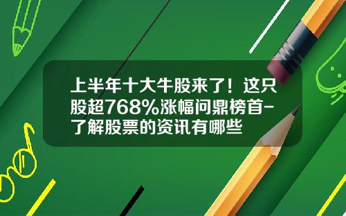 上半年十大牛股来了！这只股超768%涨幅问鼎榜首-了解股票的资讯有哪些