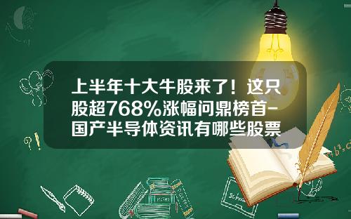 上半年十大牛股来了！这只股超768%涨幅问鼎榜首-国产半导体资讯有哪些股票