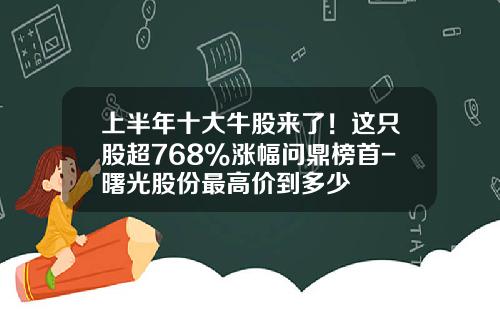 上半年十大牛股来了！这只股超768%涨幅问鼎榜首-曙光股份最高价到多少