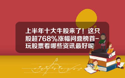 上半年十大牛股来了！这只股超768%涨幅问鼎榜首-玩股票看哪些资讯最好呢