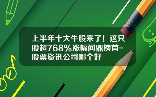 上半年十大牛股来了！这只股超768%涨幅问鼎榜首-股票资讯公司哪个好