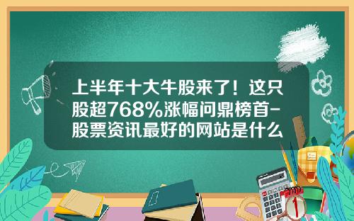 上半年十大牛股来了！这只股超768%涨幅问鼎榜首-股票资讯最好的网站是什么