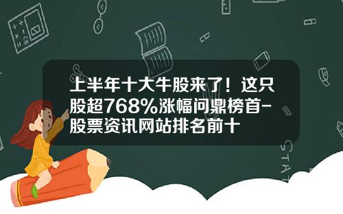 上半年十大牛股来了！这只股超768%涨幅问鼎榜首-股票资讯网站排名前十
